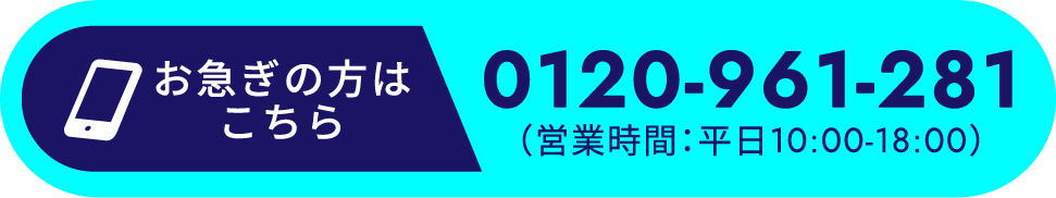 0120-961-281
