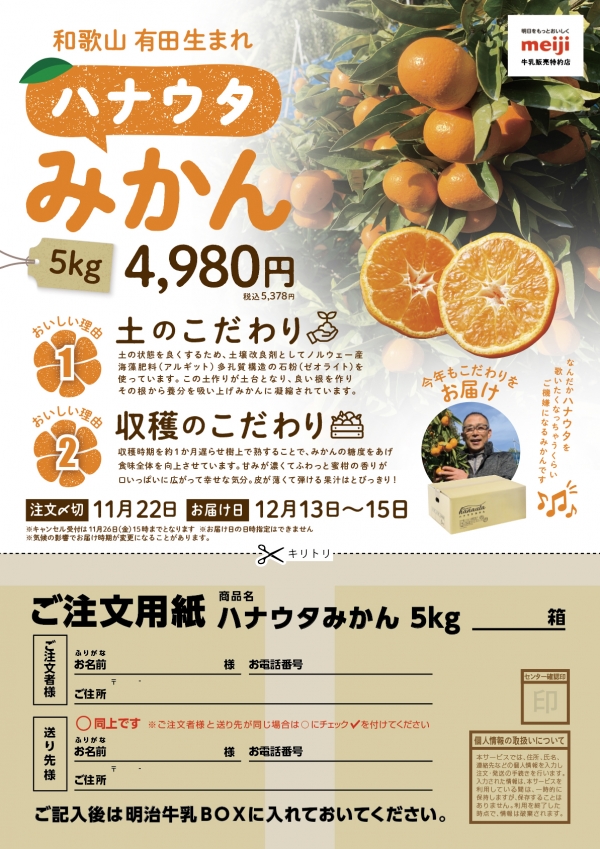 デザイン案　みかん注文書